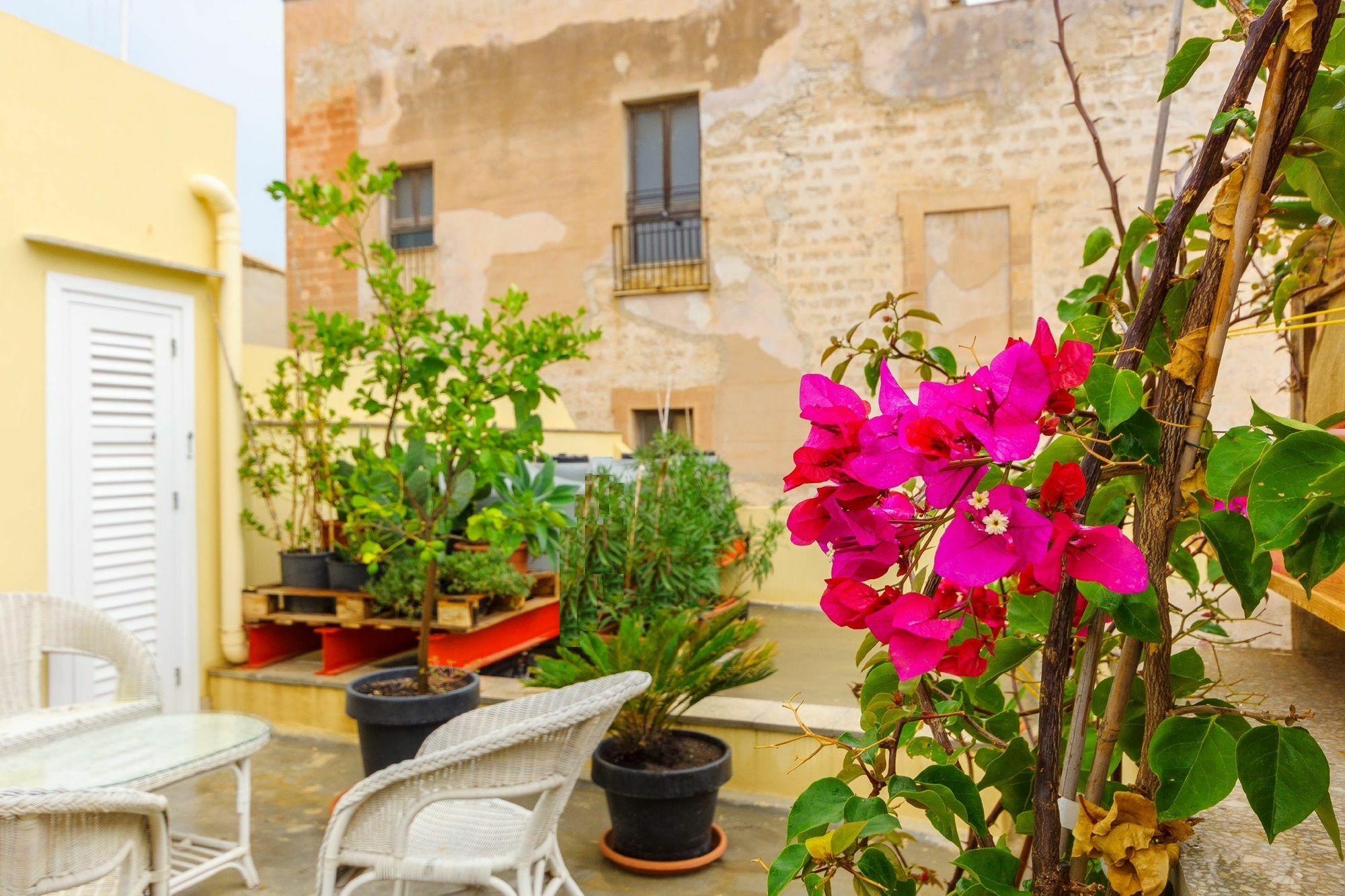 Le Vie Di Trapani Daire Dış mekan fotoğraf